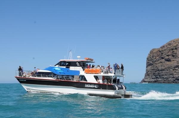 Black Cat Cruises Canterbury Cat heads towards Akaroa on lasts year's Mothers day Cruise.